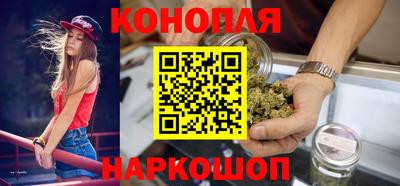 крисы Малгобек