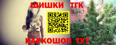 крисы Малгобек